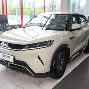 BYD Yuan Up, 2024