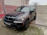 BMW X5, 2010-6