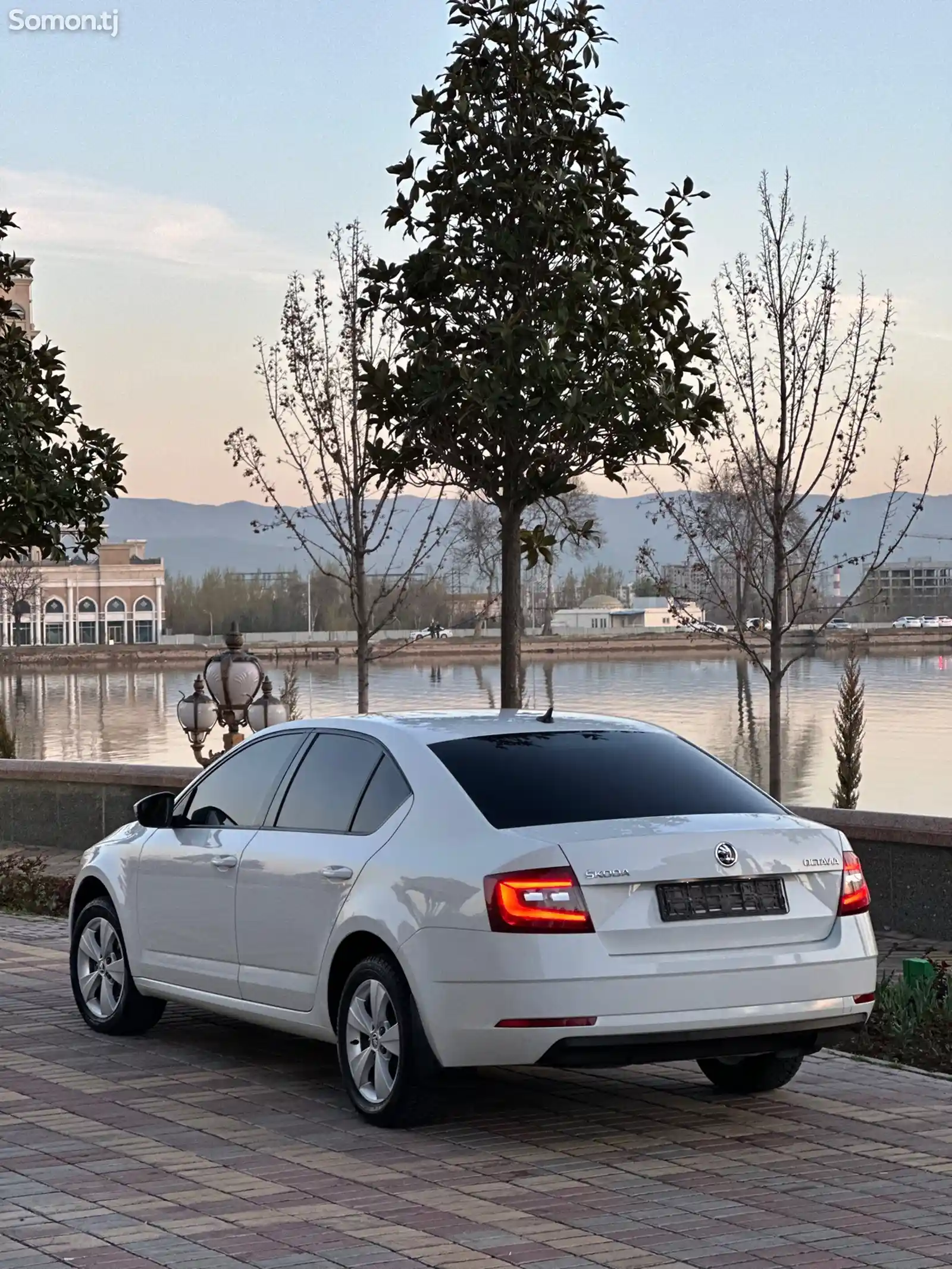 Skoda Octavia, 2019-3