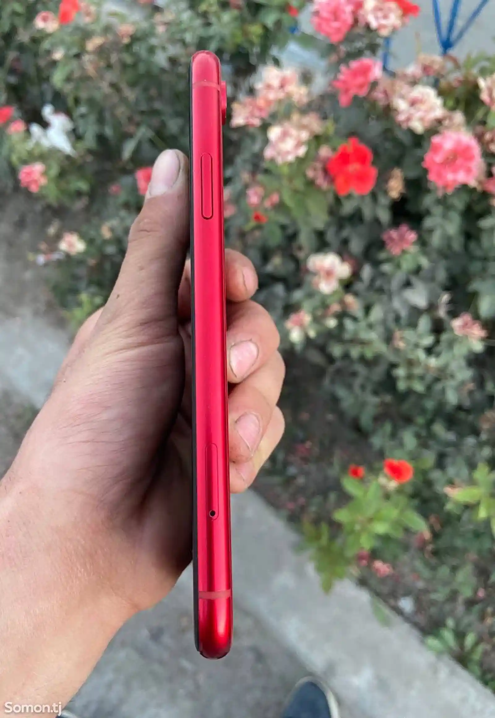 Apple iPhone Xr, 64 gb, Product Red-6