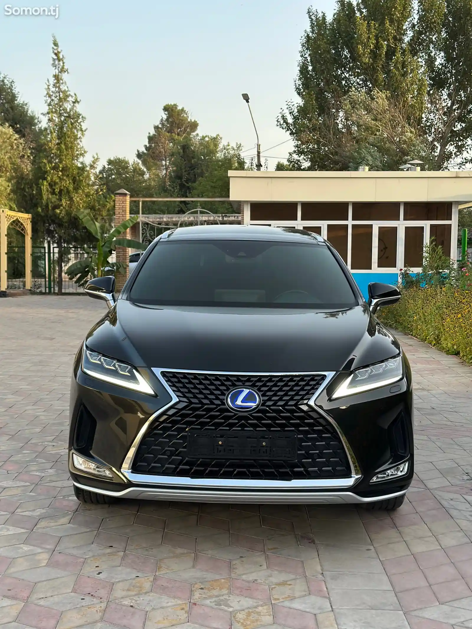 Lexus RX series, 2022-3