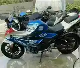 Мотоцикл suzuki gsx250r-8