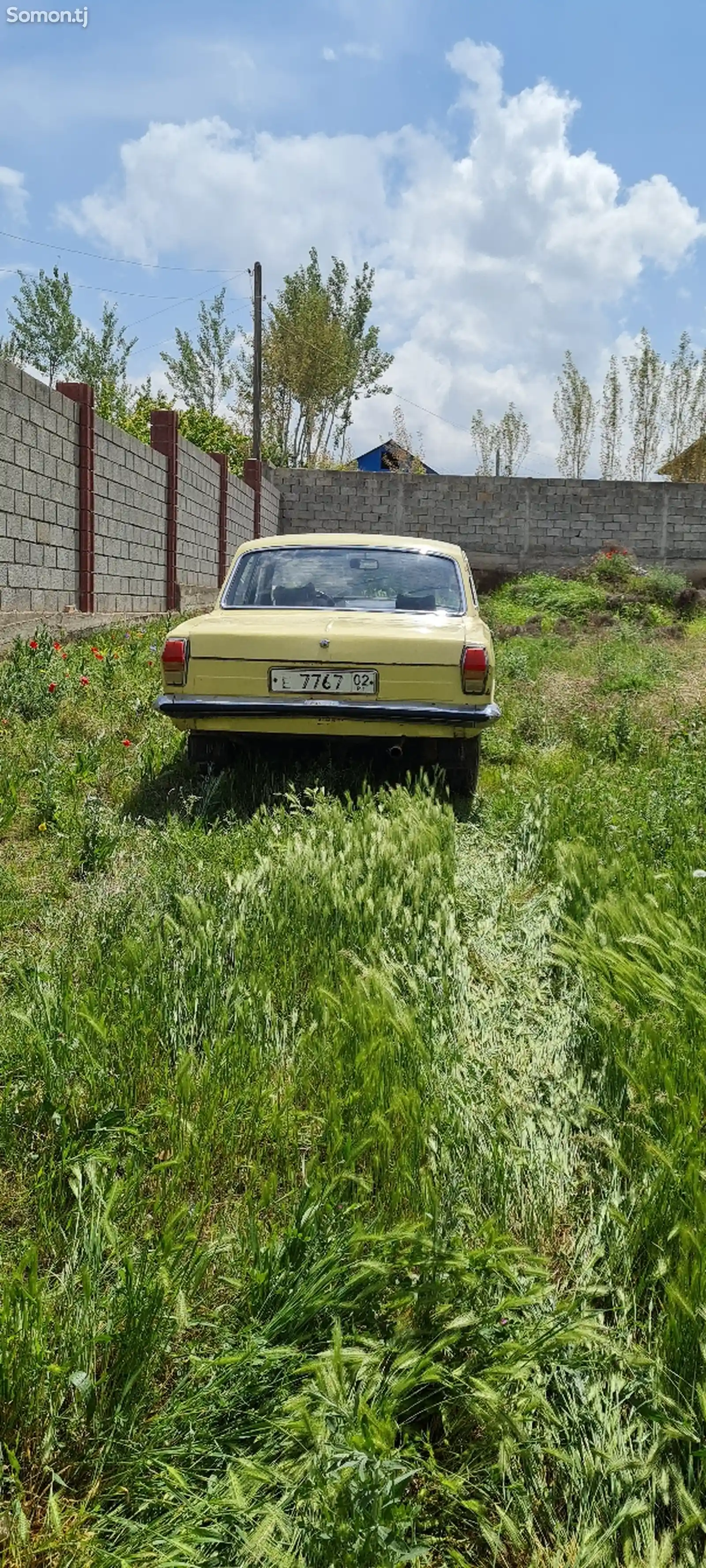 ГАЗ 24011, 1986-1