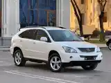 Lexus RX series, 2009-2