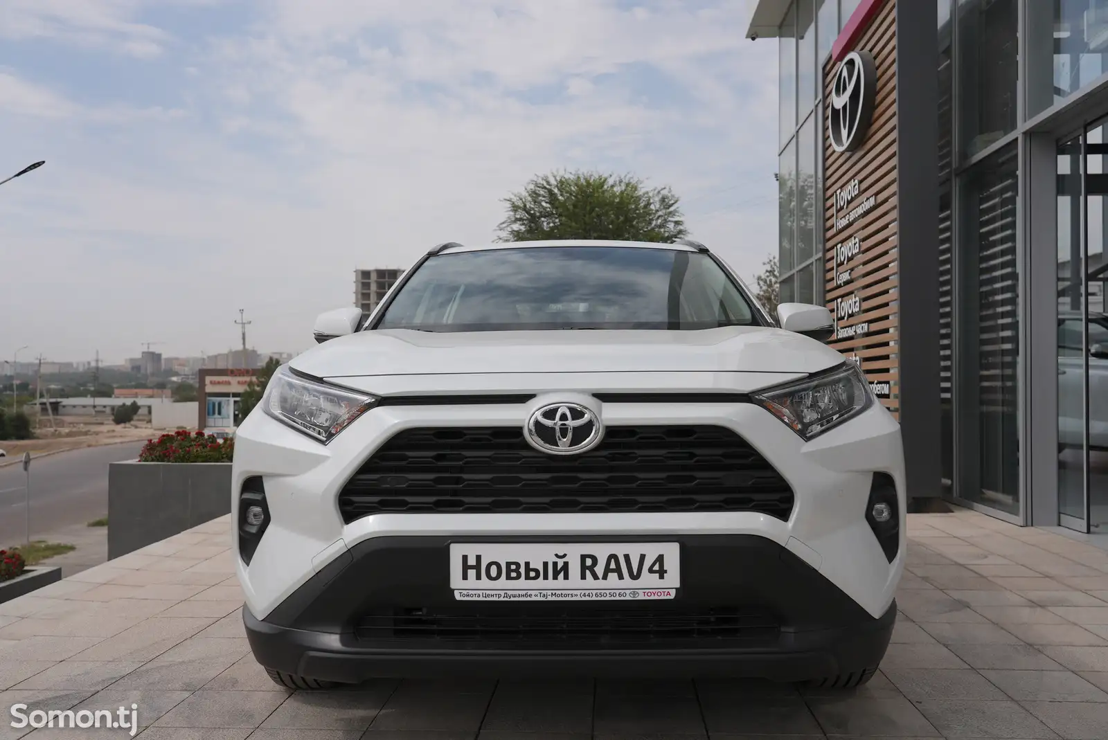 Toyota RAV 4, 2023-1