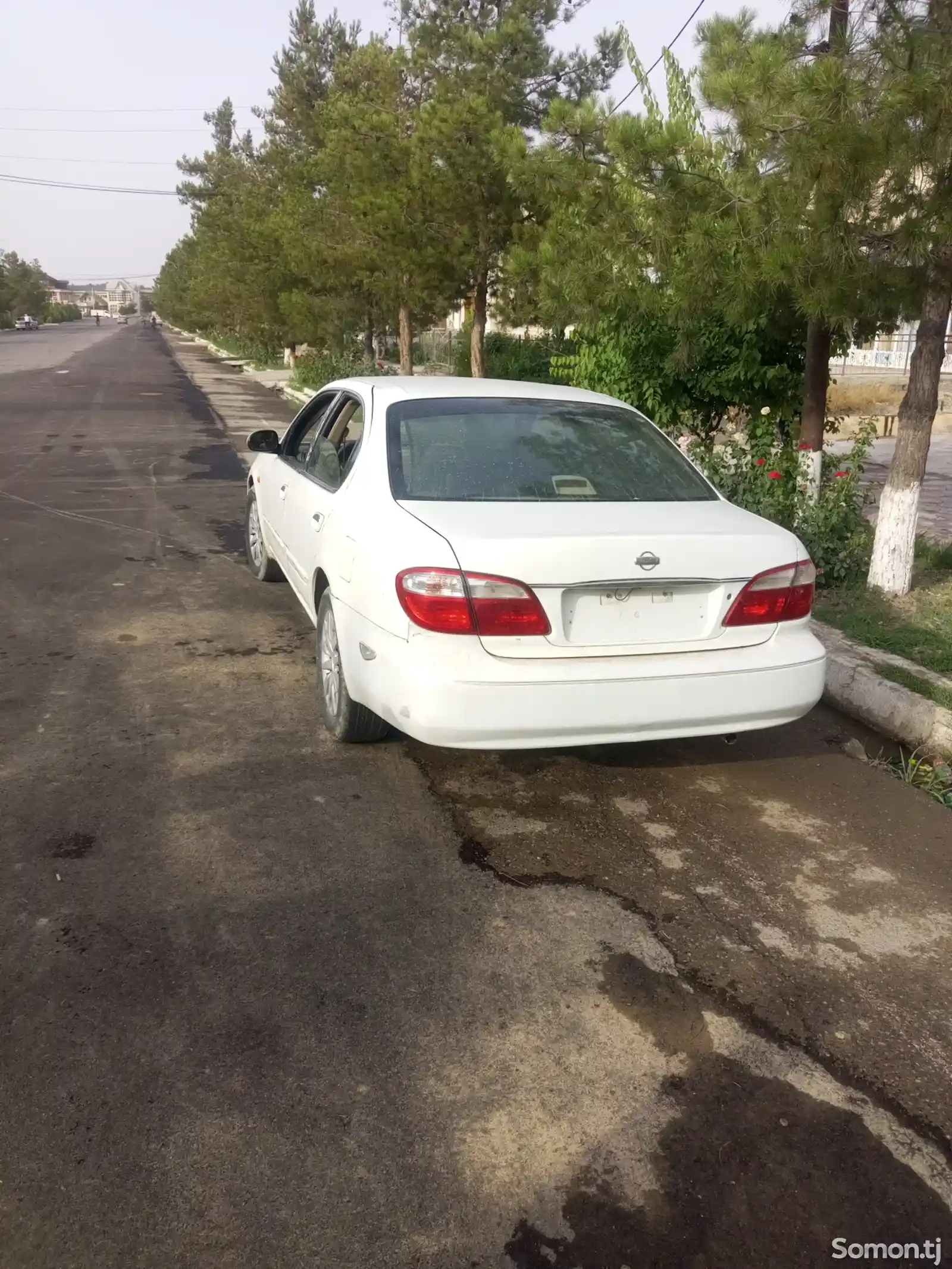 Nissan Maxima, 2000-2