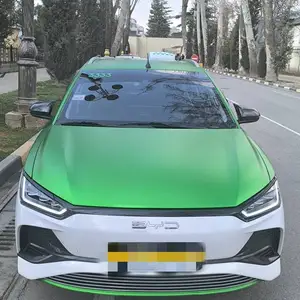 BYD B2, 2023