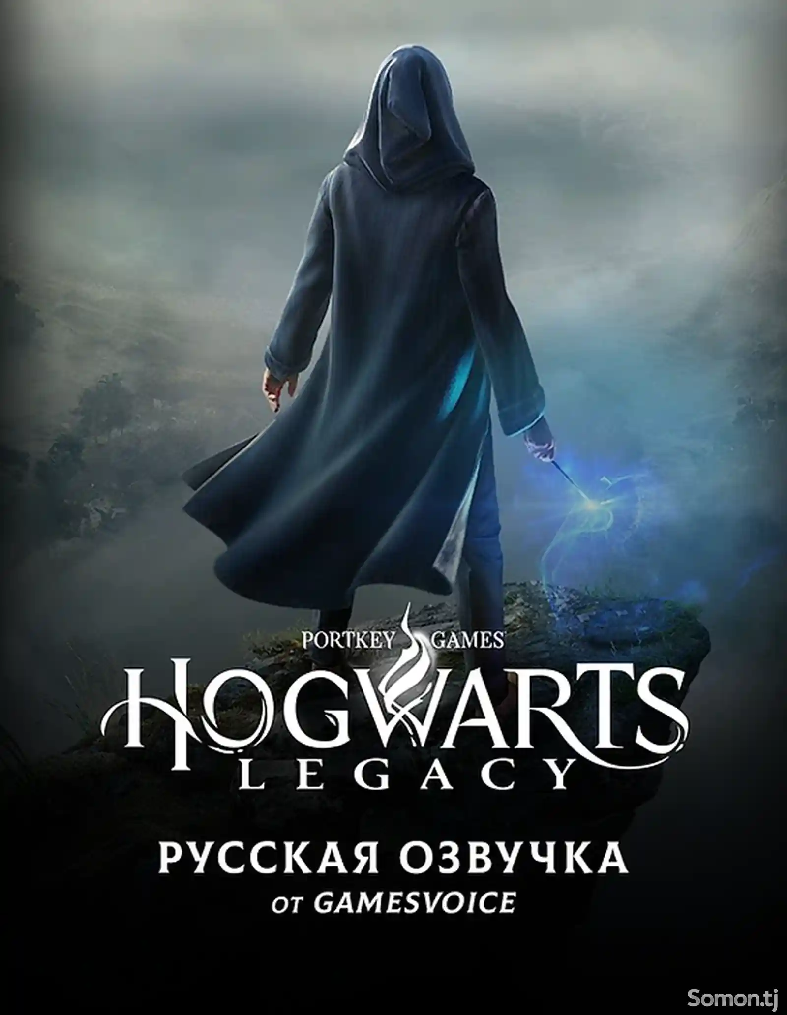 Игра Hogwarts Legacy Deluxe Edition Russound для Sony PS4-1