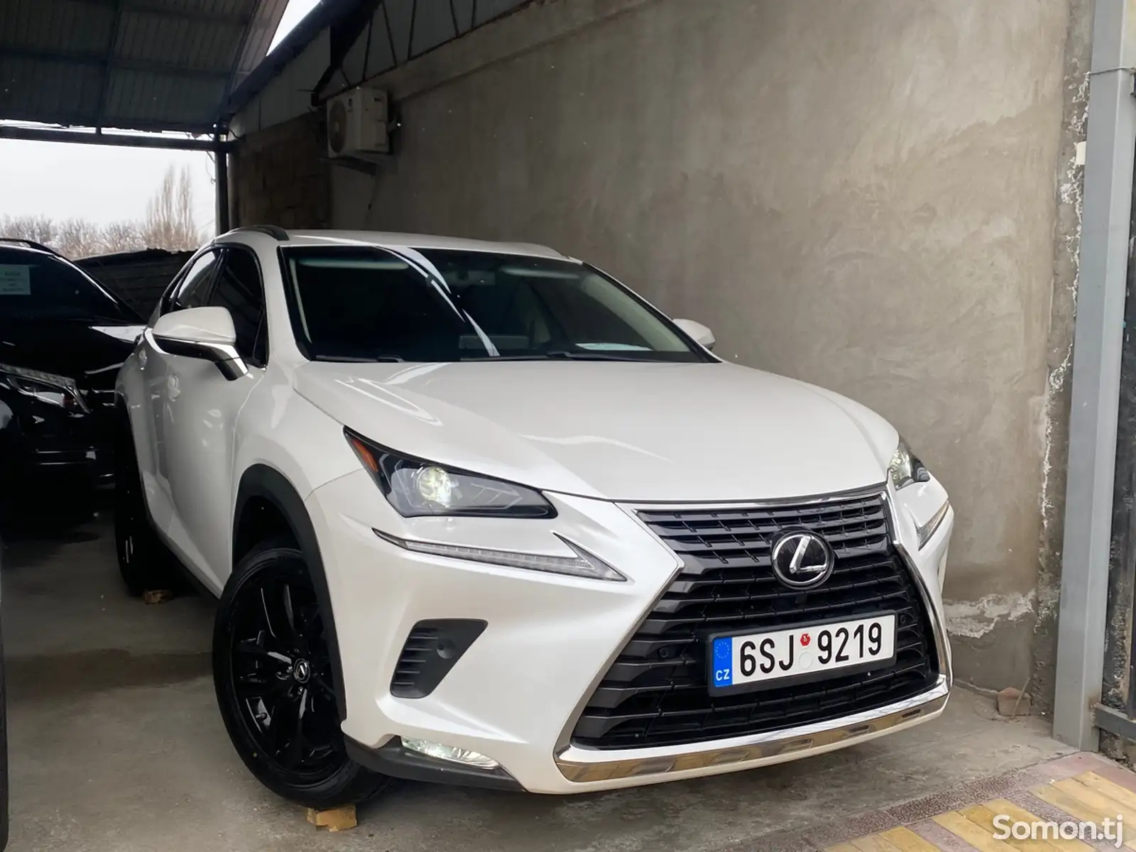 Lexus NX series, 2019-1