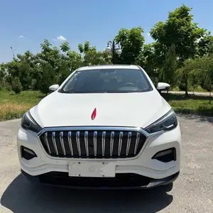 Hongqi E-HS3, 2019