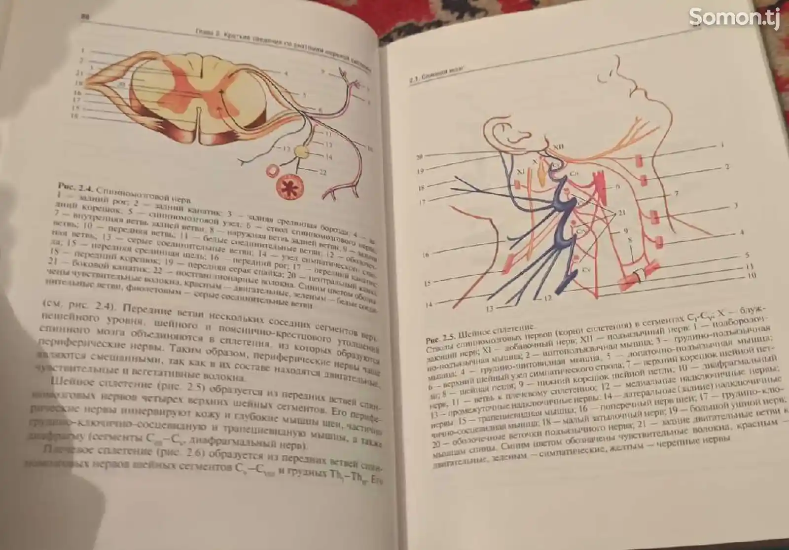 Книга Неврология и Нейрохирургия , 2 Том-5