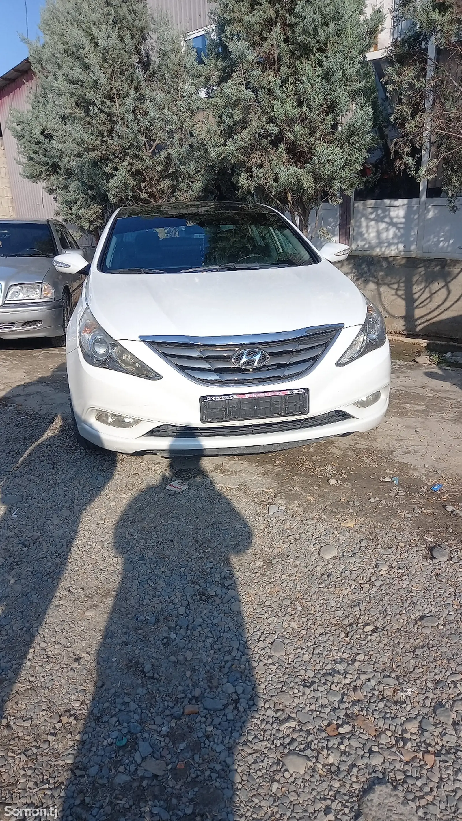 Hyundai Sonata, 2010-1