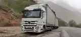 Седельный тягач Actros 2544 130куб, 2010-8