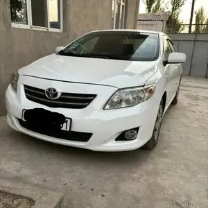 Toyota Corolla, 2010