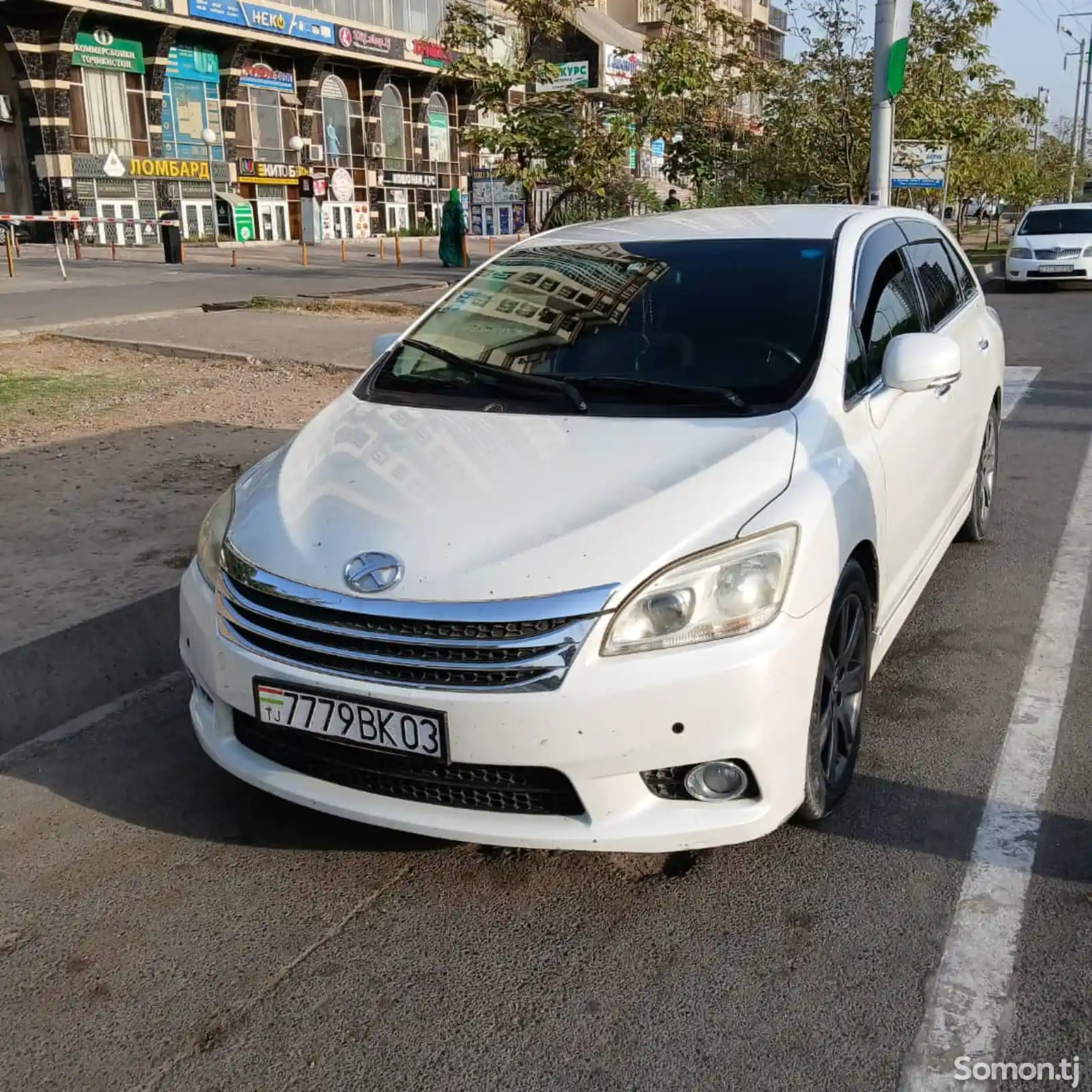 Toyota Mark X ZiO, 2010-1