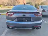 Kia Stinger, 2018-5