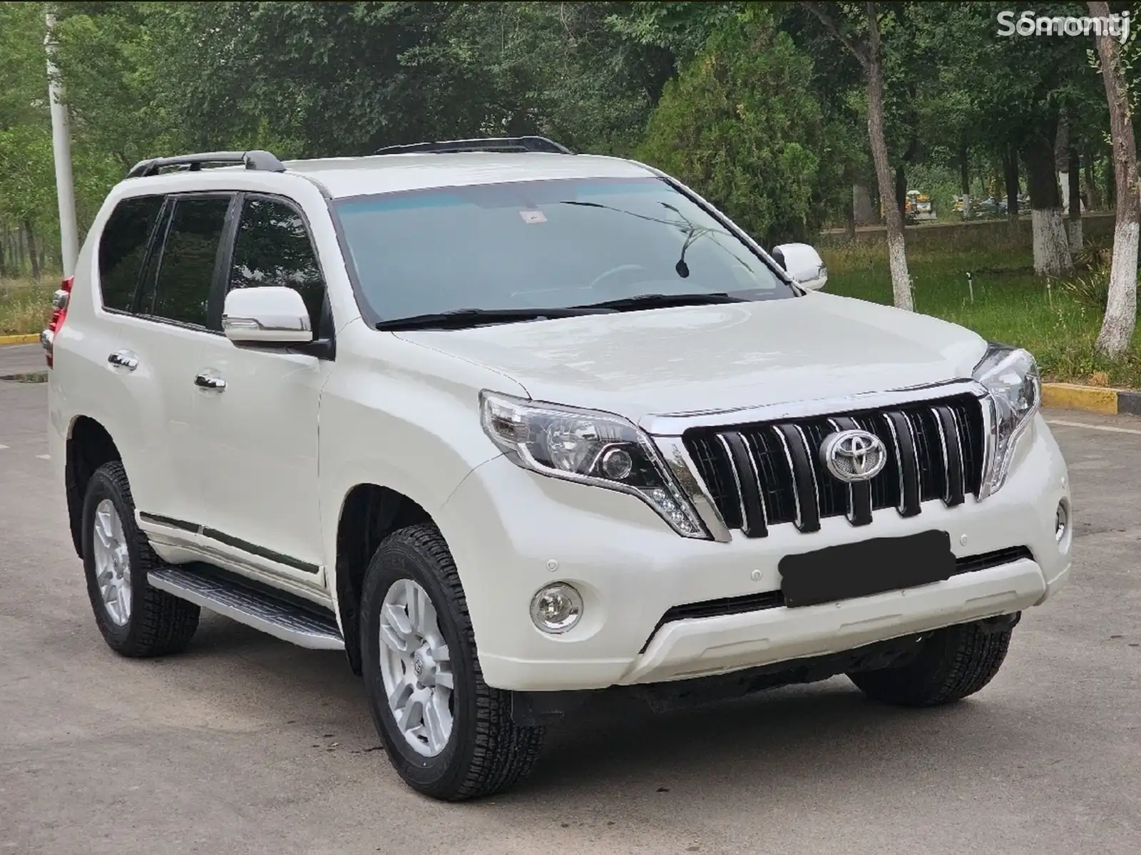 Toyota Land Cruiser Prado, 2010-1