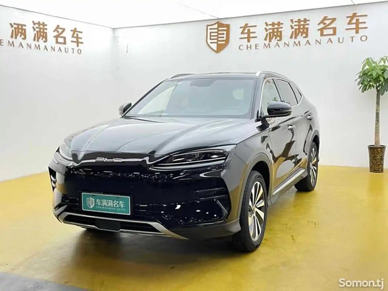 BYD Song Plus Flagship, 2023-1