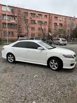 Toyota Camry, 2010-11