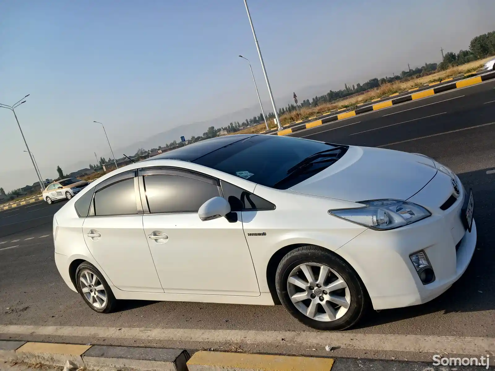 Toyota Prius, 2010-1