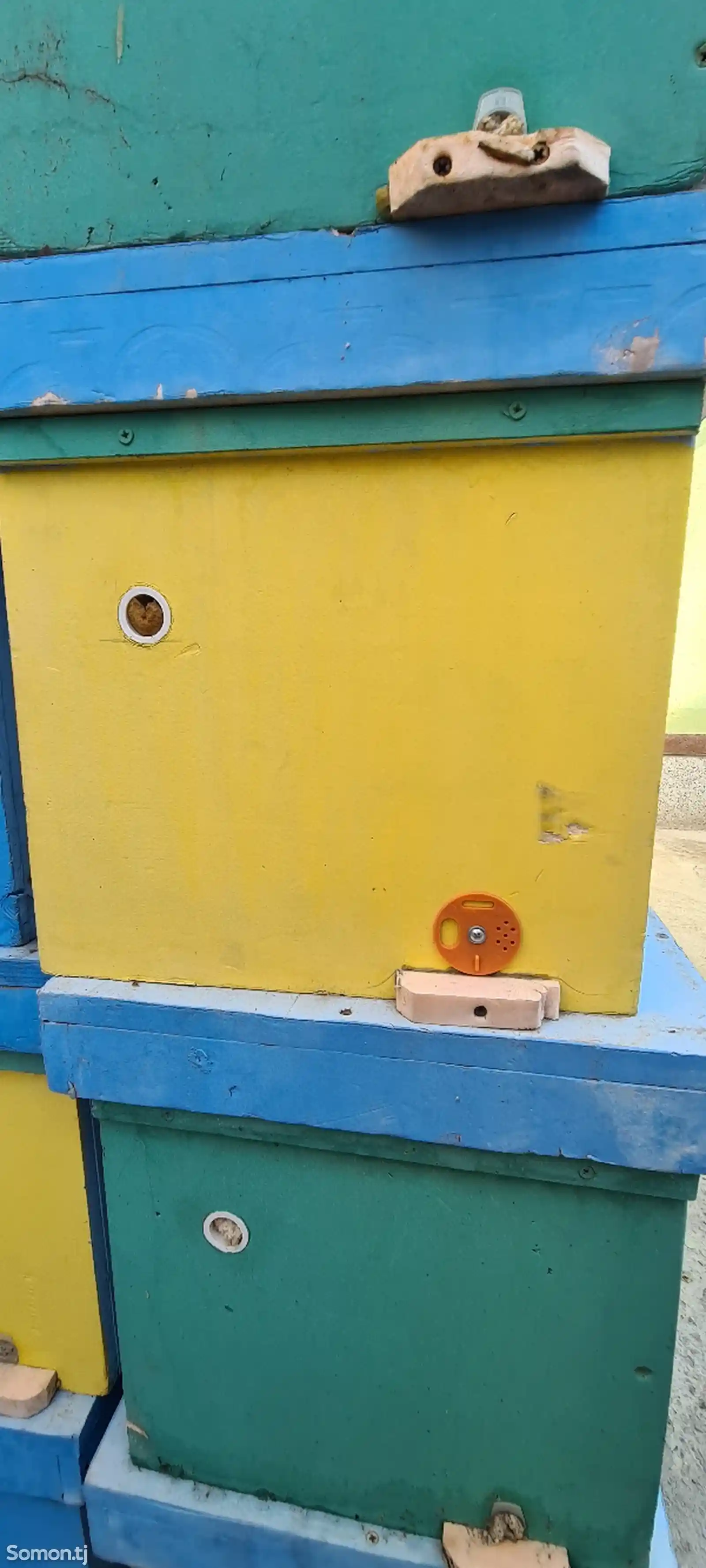 Ящики для пчелы-6