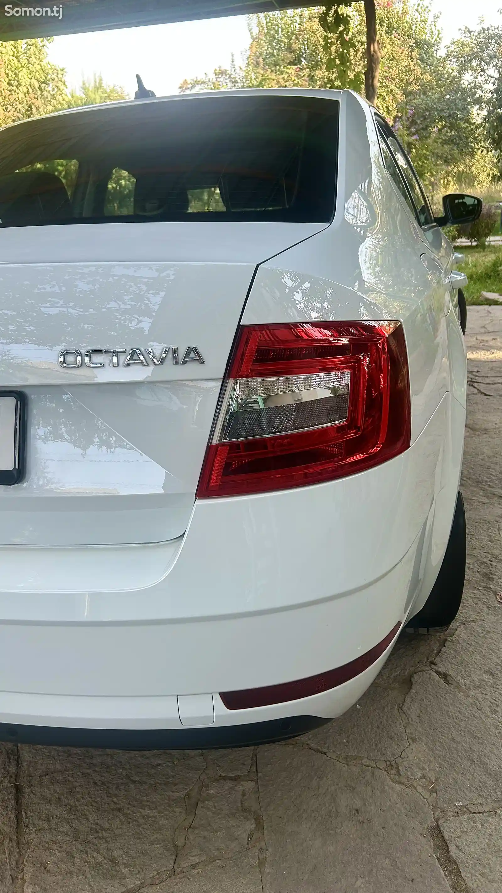 Skoda Octavia, 2019-6