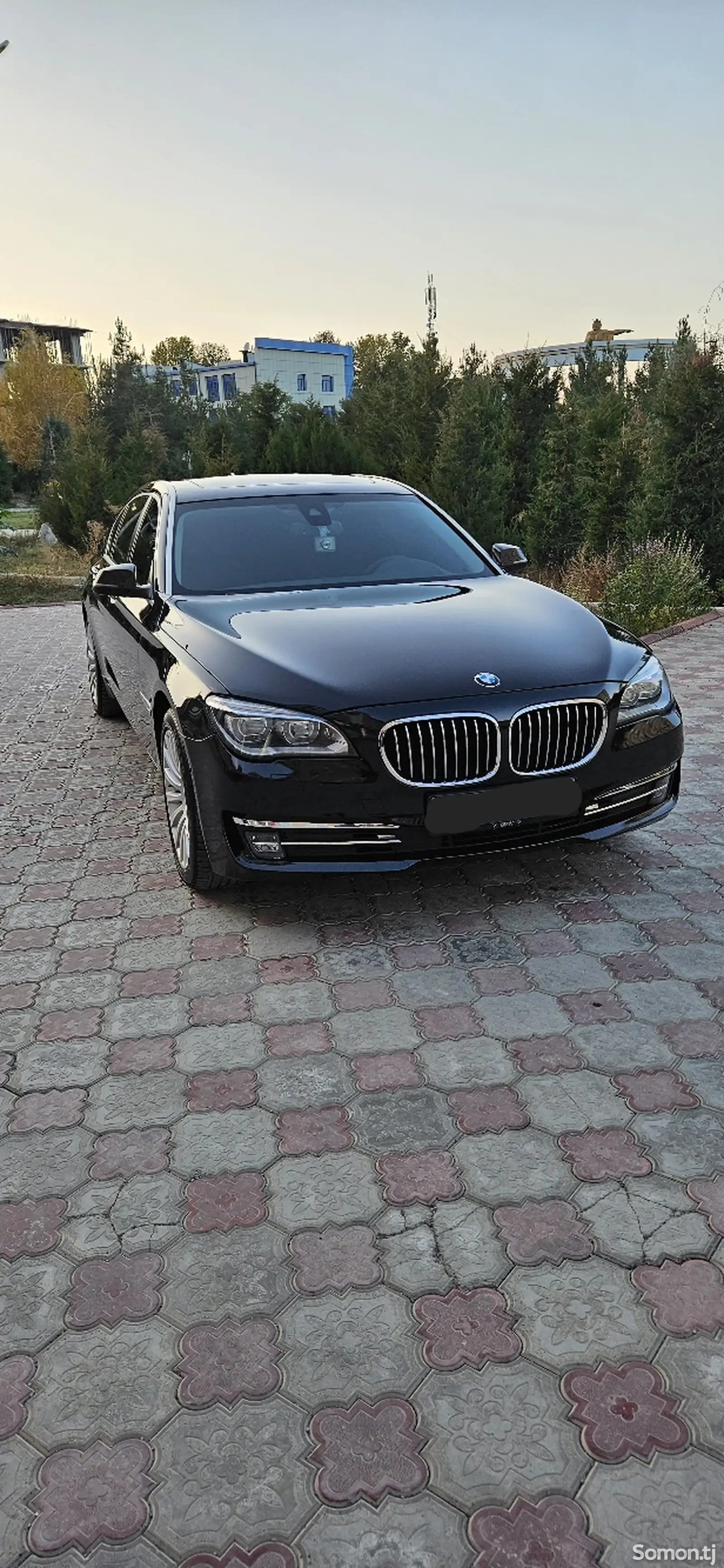 BMW 7 series, 2015-8