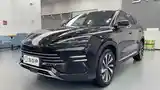 BYD Song Plus Flagship, 2024-2