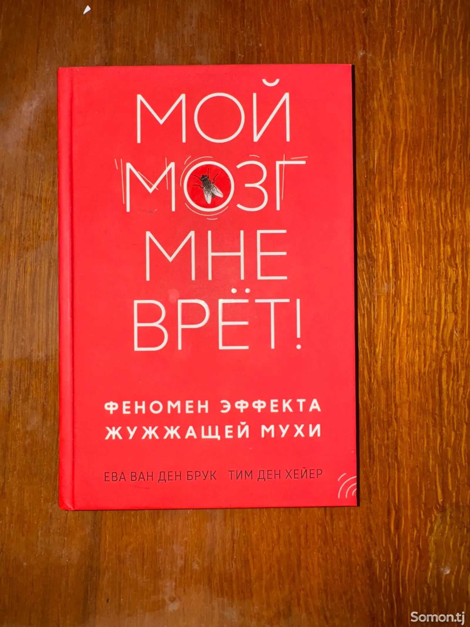 Мой мозг мне врёт-1