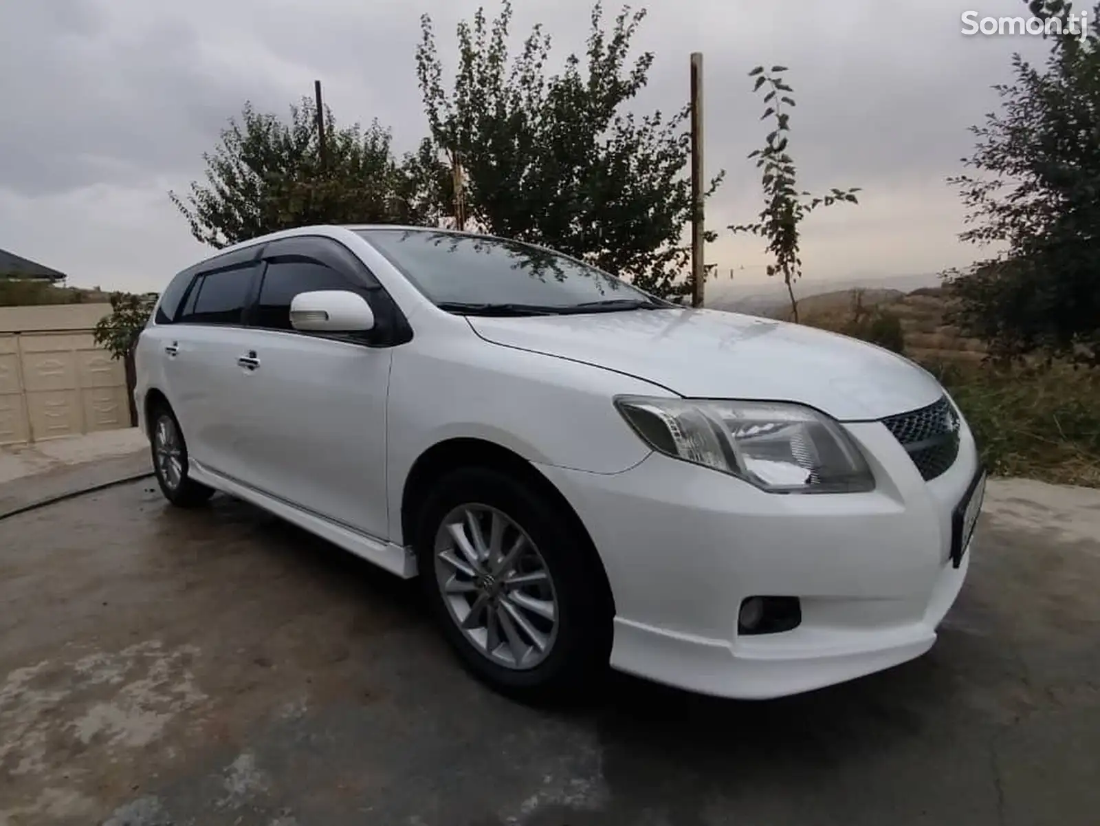 Toyota Fielder, 2008-3