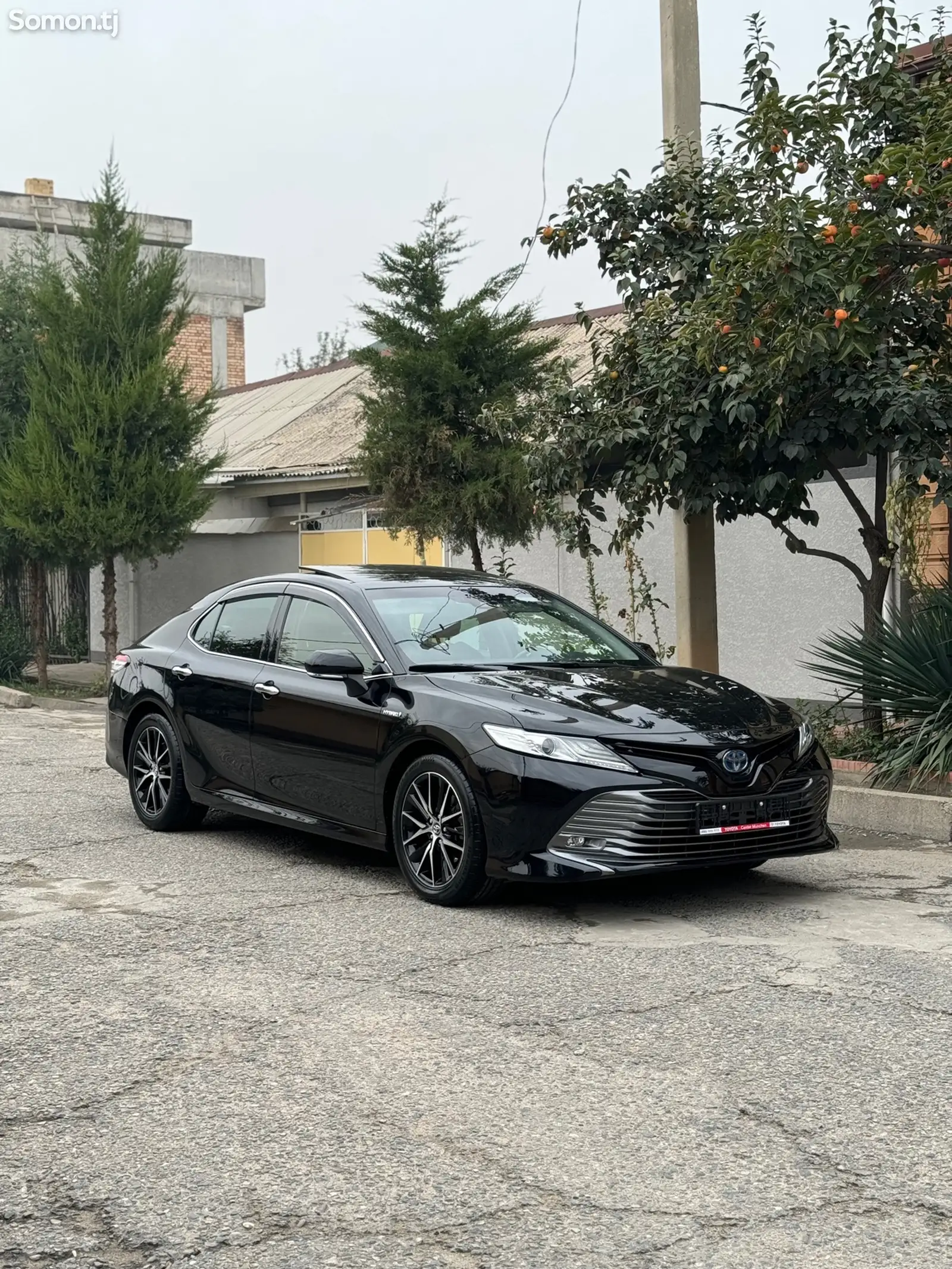 Toyota Camry, 2019-2