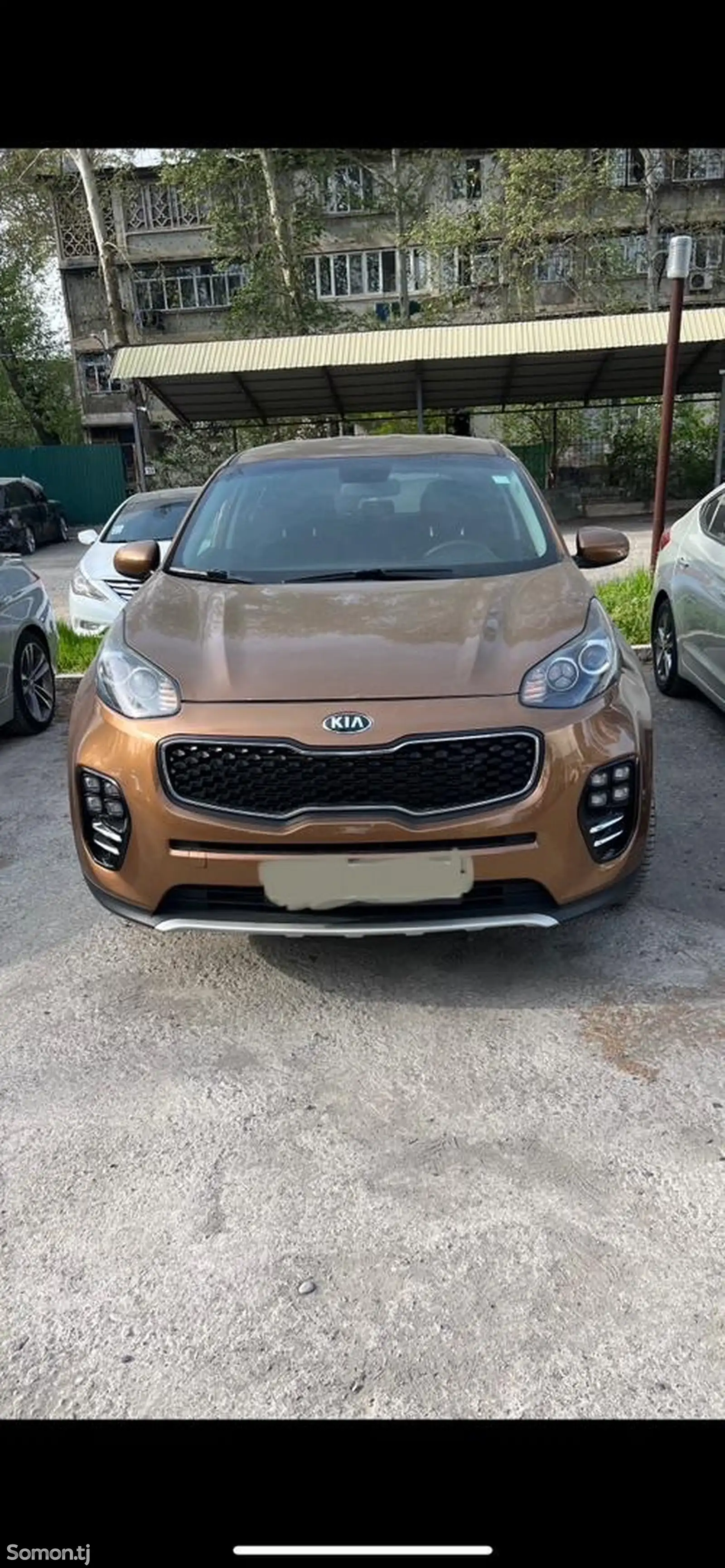 Kia Sportage, 2019-1