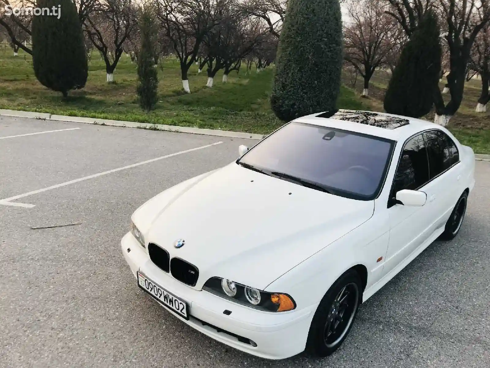 Фары от BMW-1