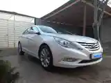 Hyundai Sonata, 2010-3