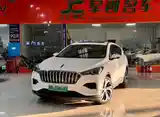 Hongqi E-HS3, 2020-2