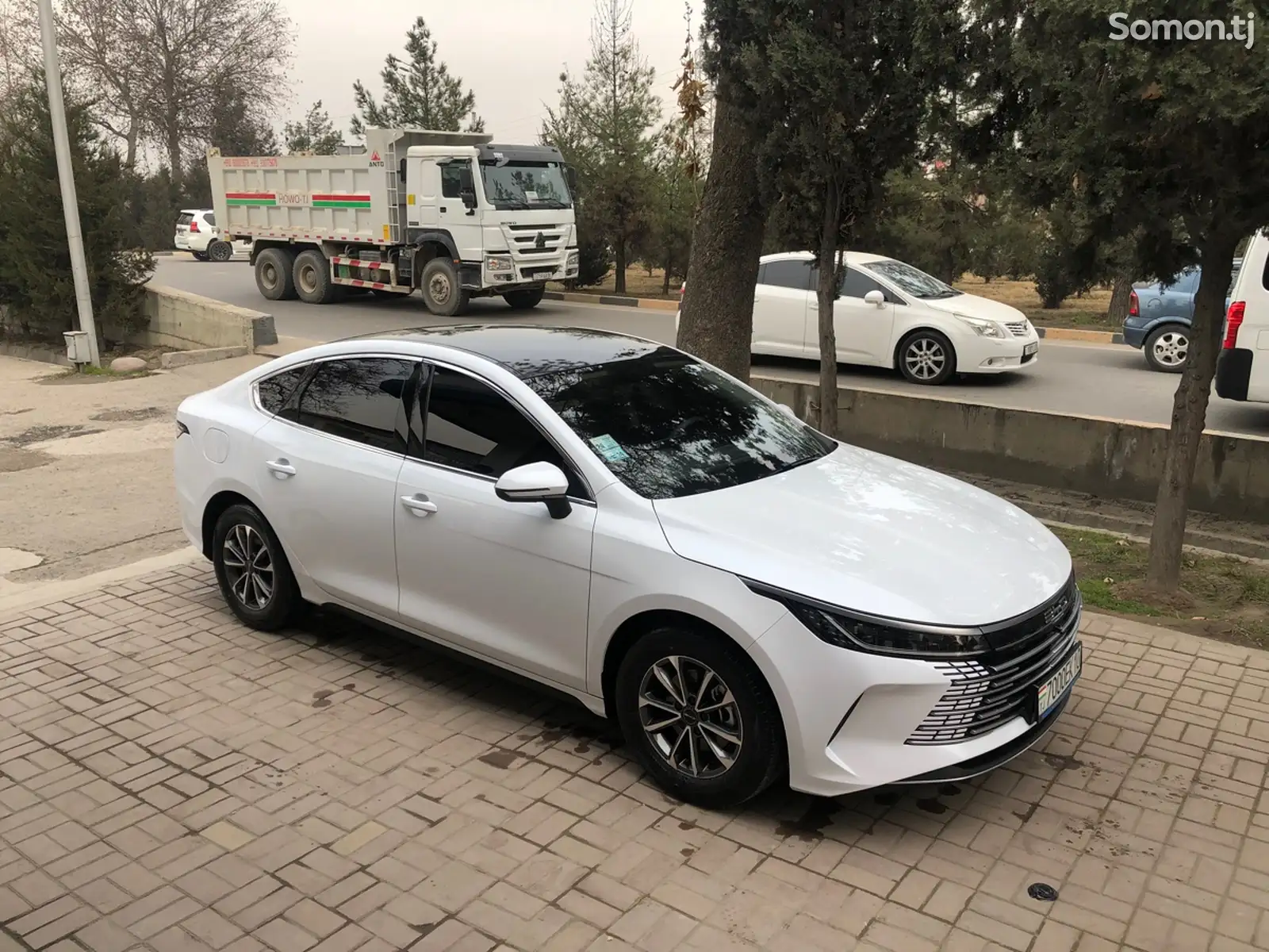 BYD Destroyer, 2024-1