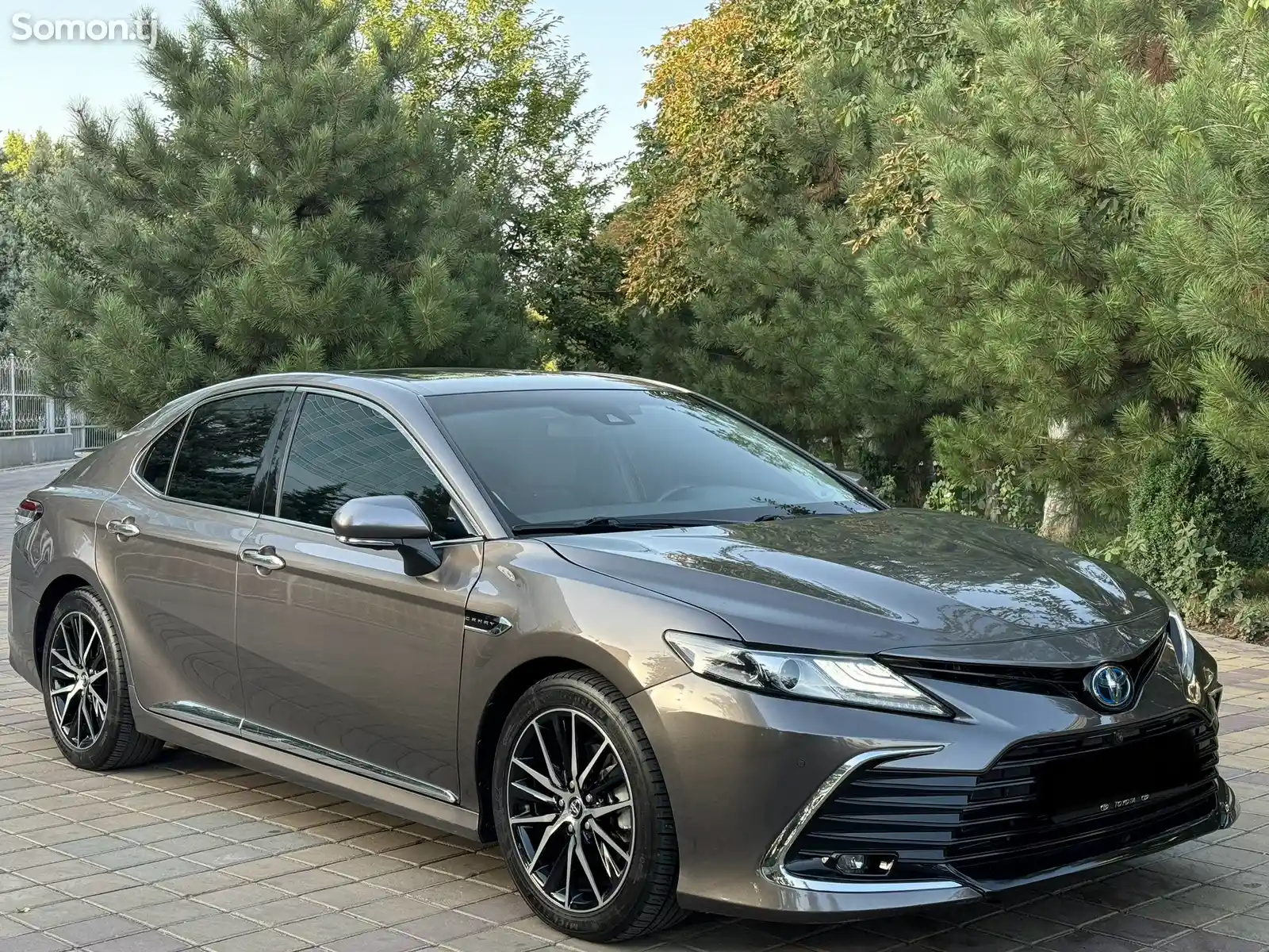 Toyota Camry, 2019-1