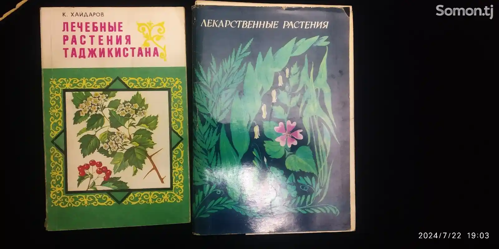 Книга Лечебные растения-1