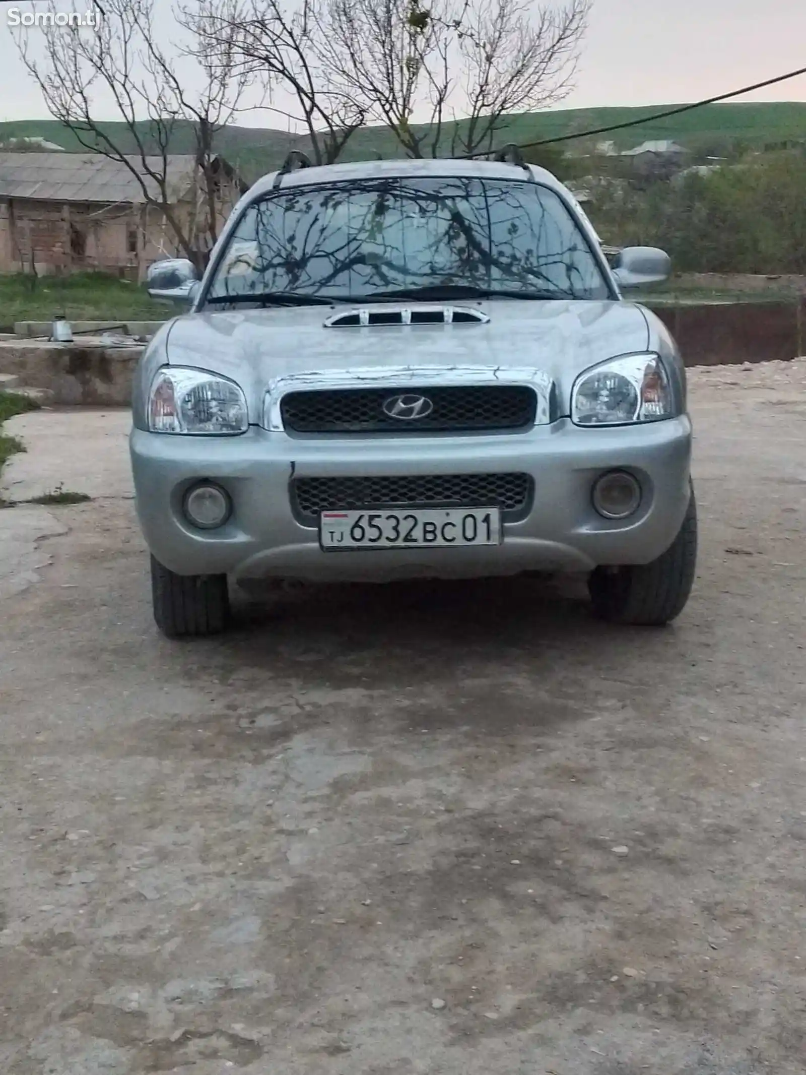 Hyundai Santa Fe, 2002-1