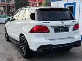 Mercedes-Benz GLE class, 2017-4