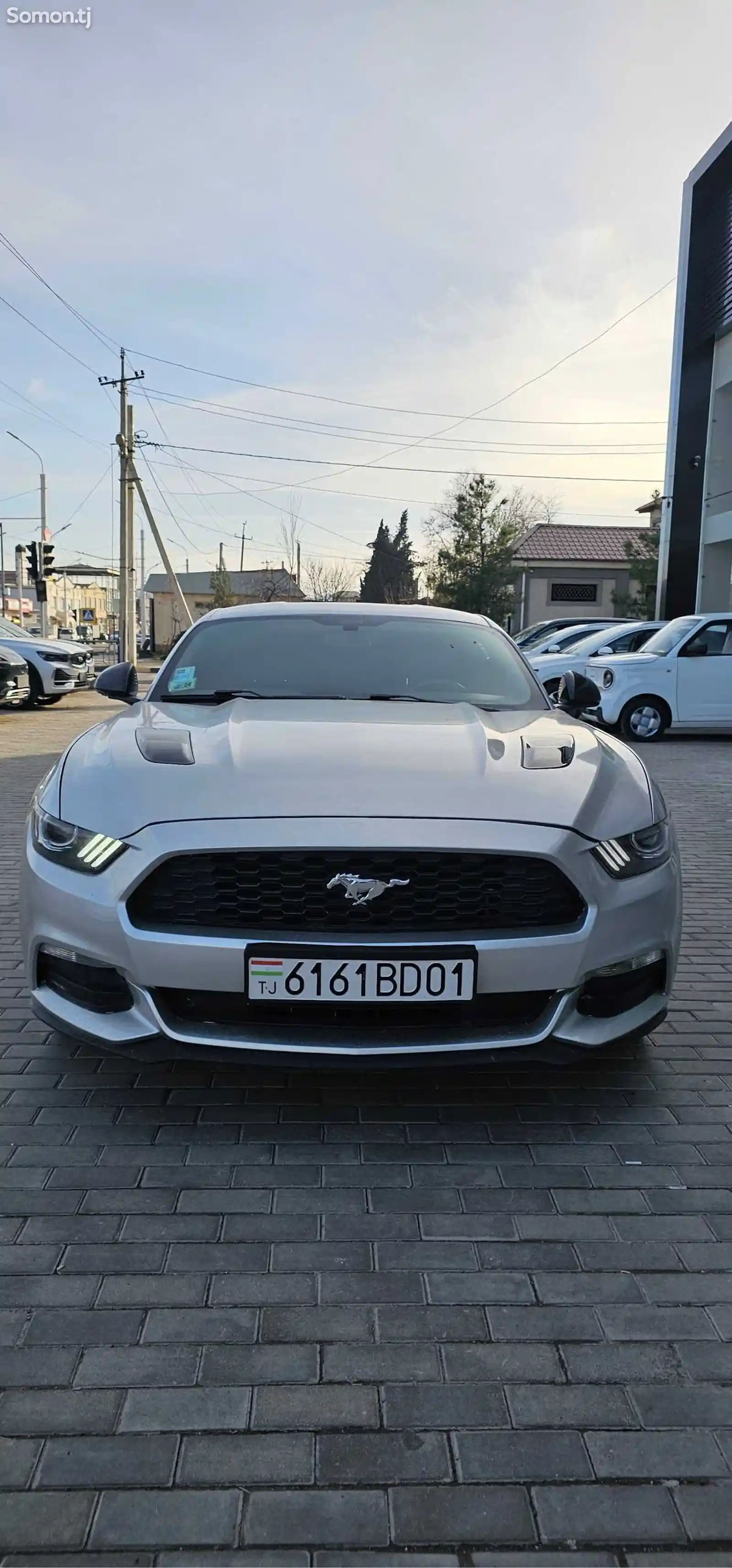 Ford Mustang, 2019-1