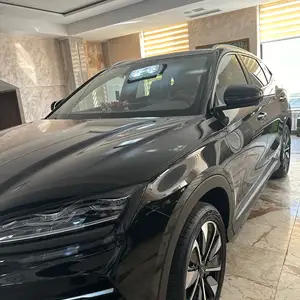 BYD Song Plus Flagship, 2024