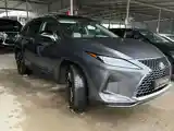 Lexus RX series, 2021-3