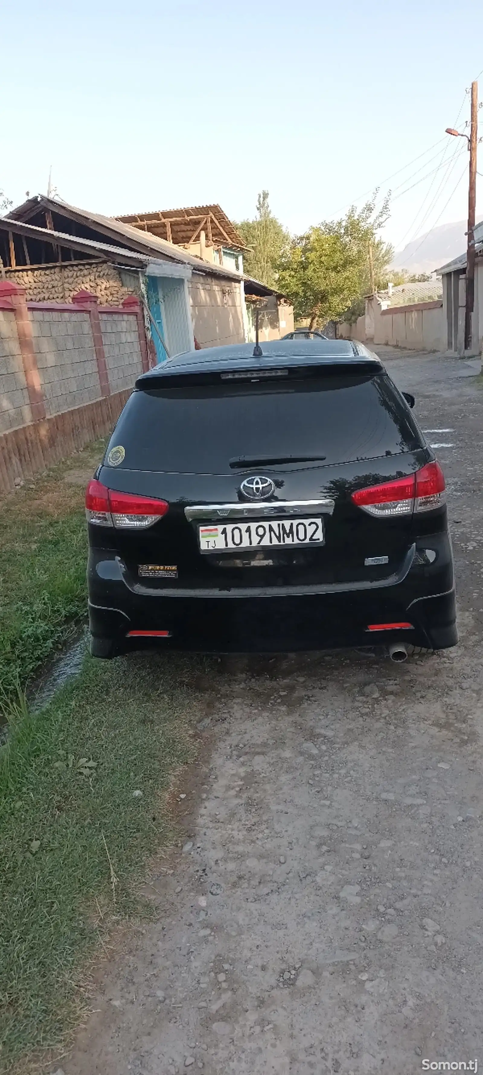 Toyota Wish, 2009-3