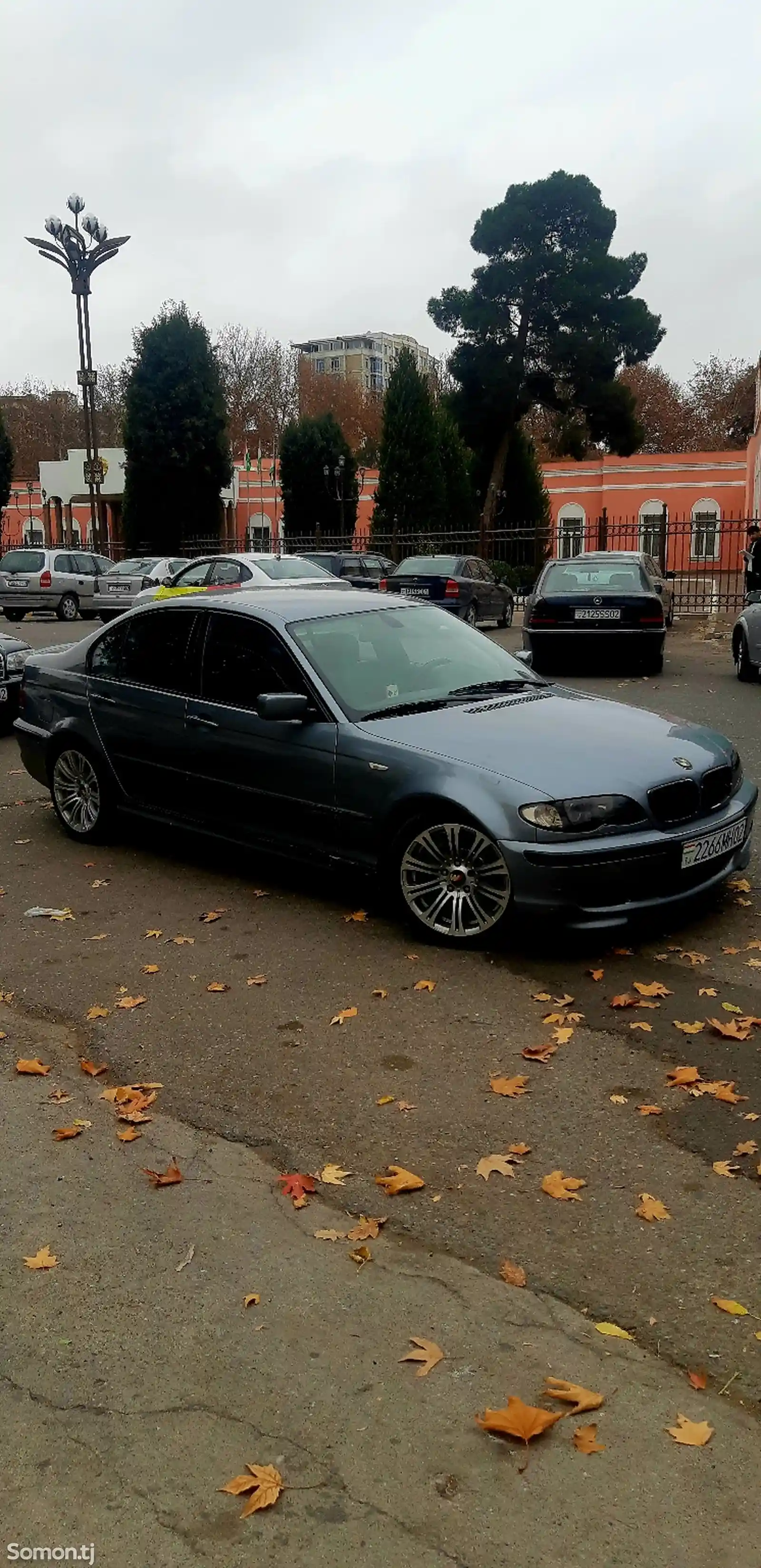 BMW 3 series, 2004-4