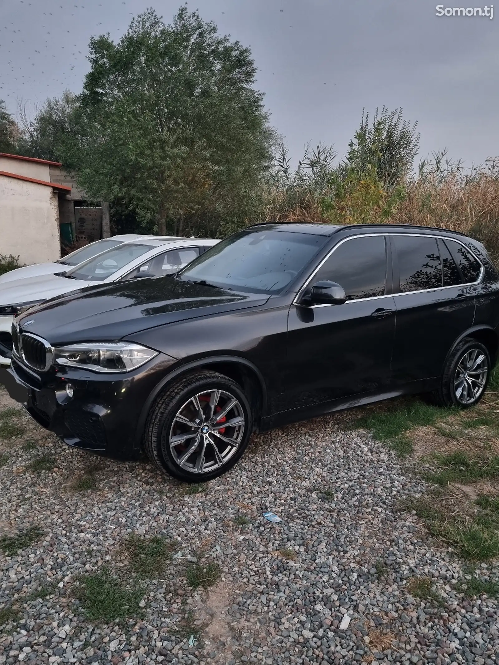 BMW X5, 2015-1