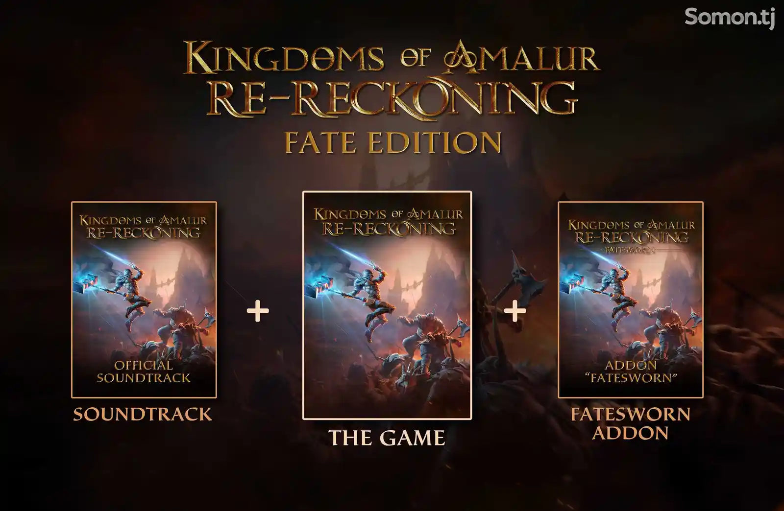 Игра Kingdom of Amalur Re-Reckoning Fate Edition для Sony PS4-2