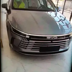 BYD Song Plus Flagship, 2024