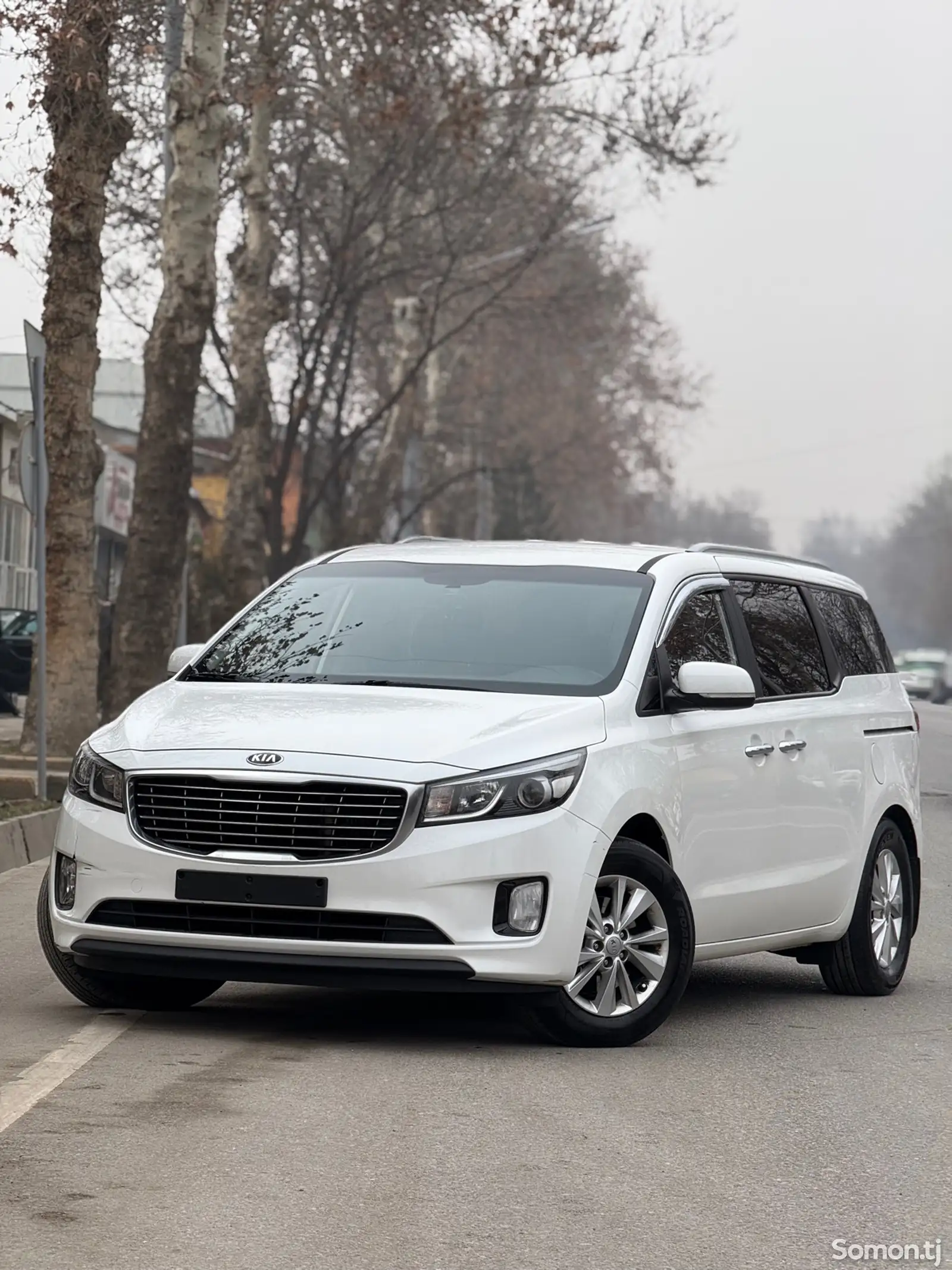 Kia Carnival, 2015-1