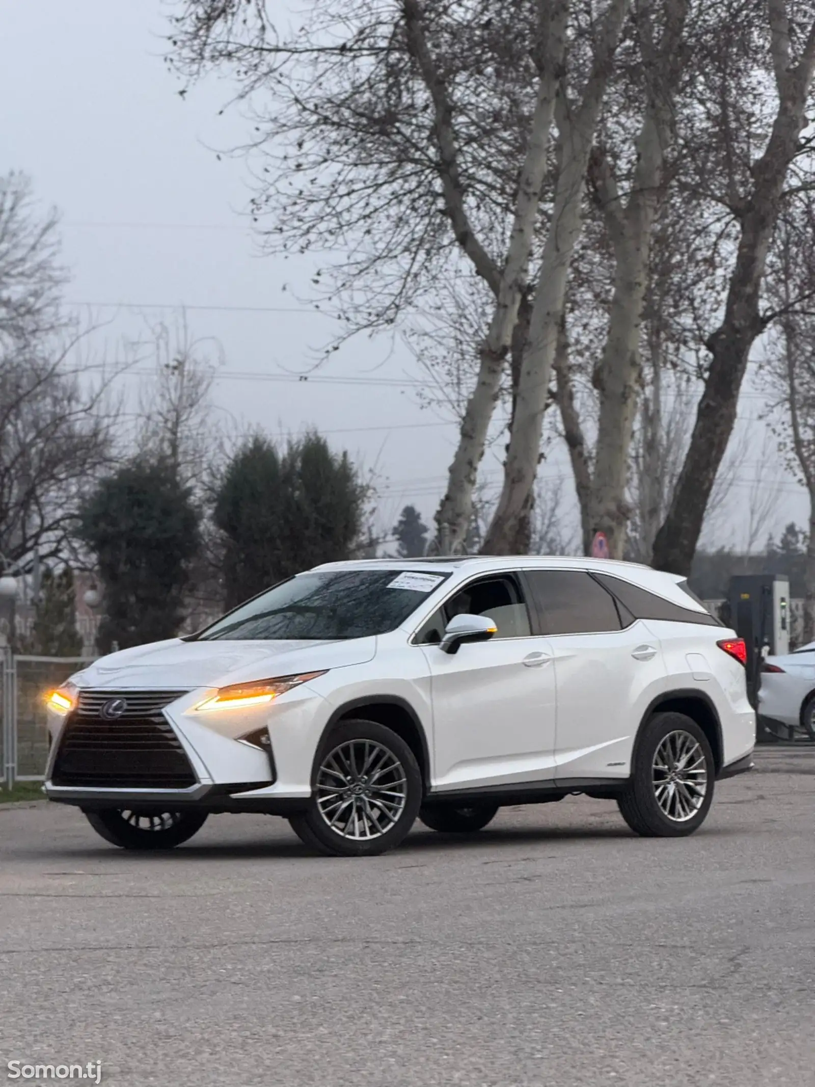 Lexus RX series, 2019-1